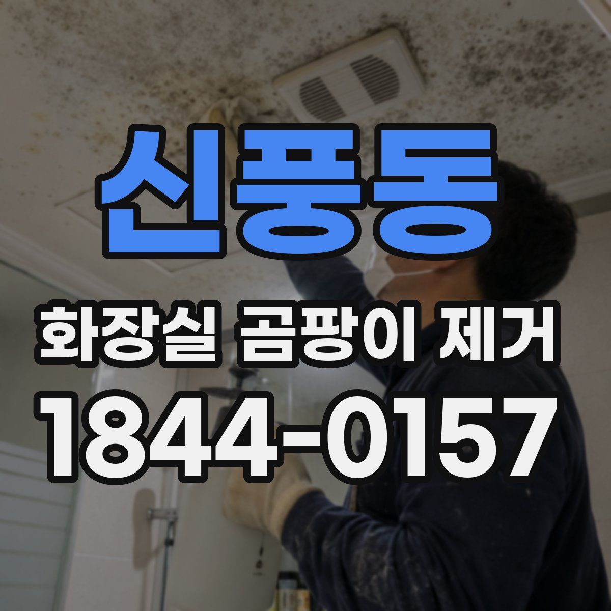 신풍동 화장실 곰팡이 제거