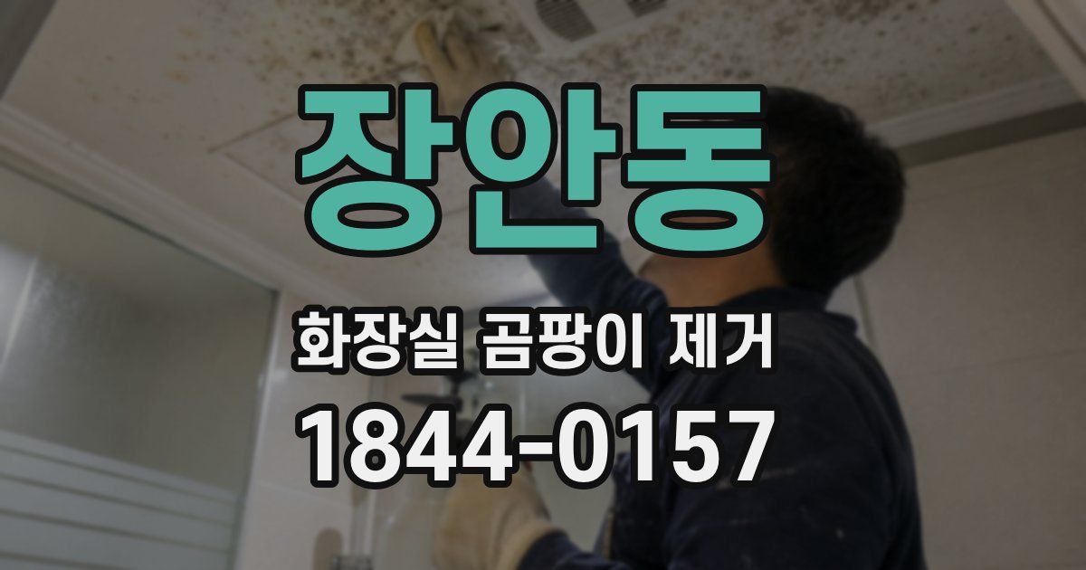 장안동 화장실 곰팡이 제거