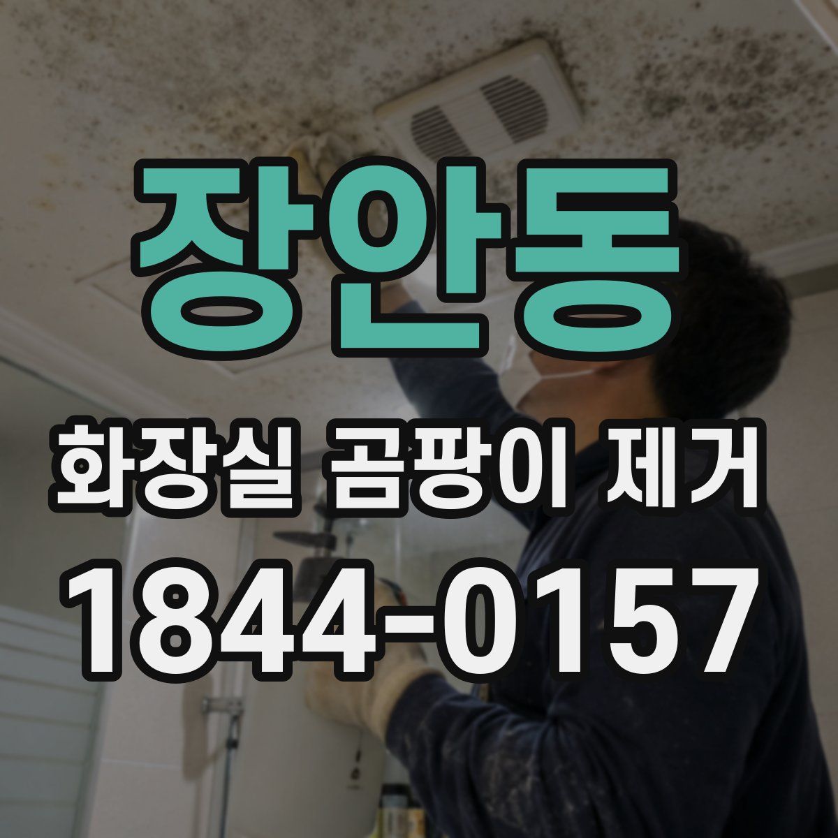 장안동 화장실 곰팡이 제거