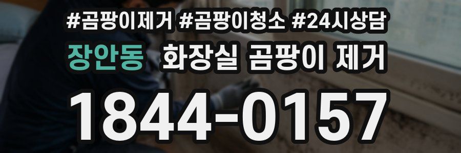장안동 화장실 곰팡이 제거