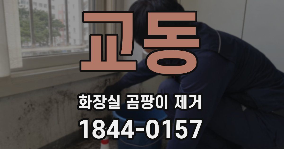 교동 화장실 곰팡이 제거