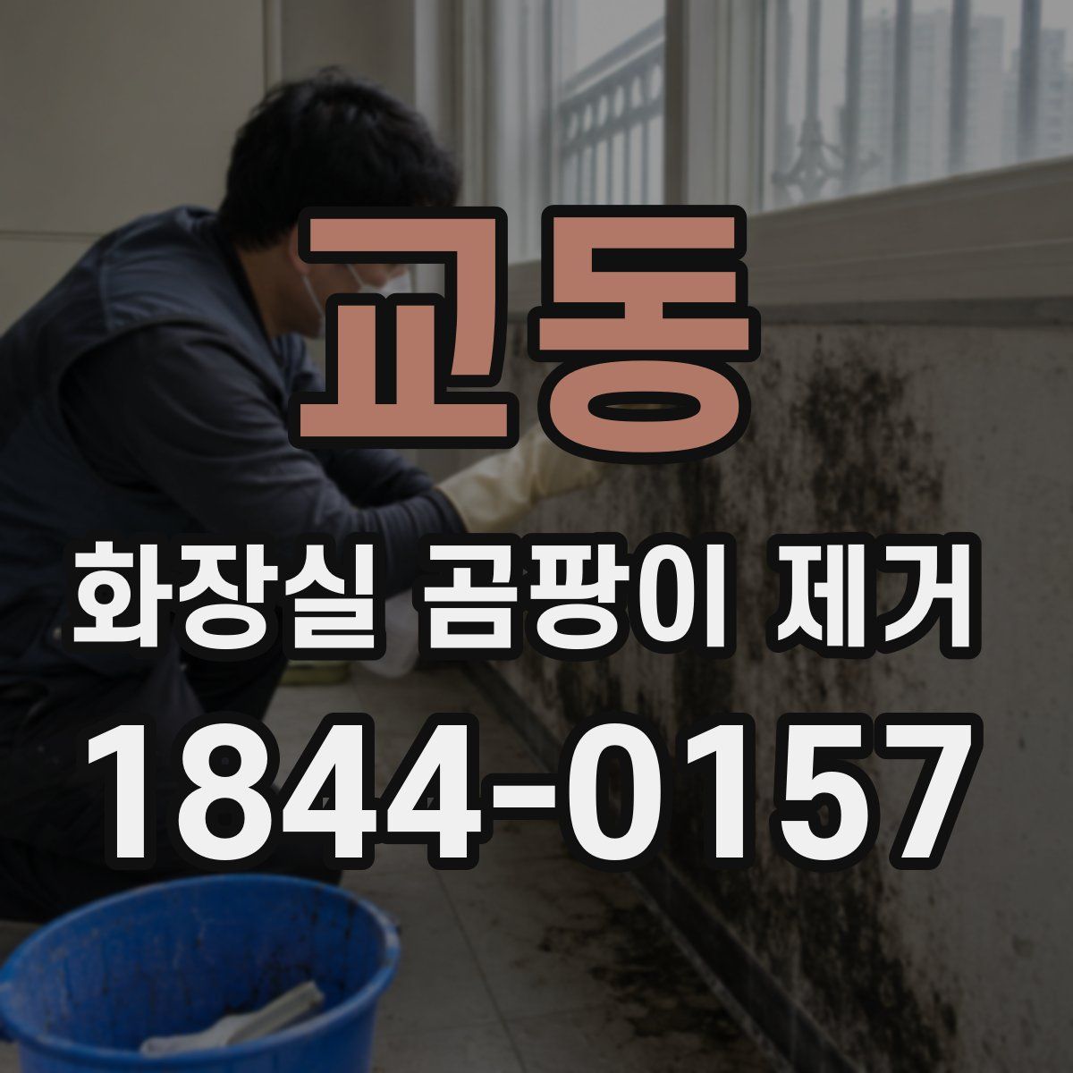 교동 화장실 곰팡이 제거