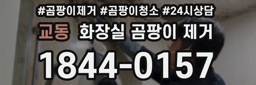 교동 화장실 곰팡이 제거