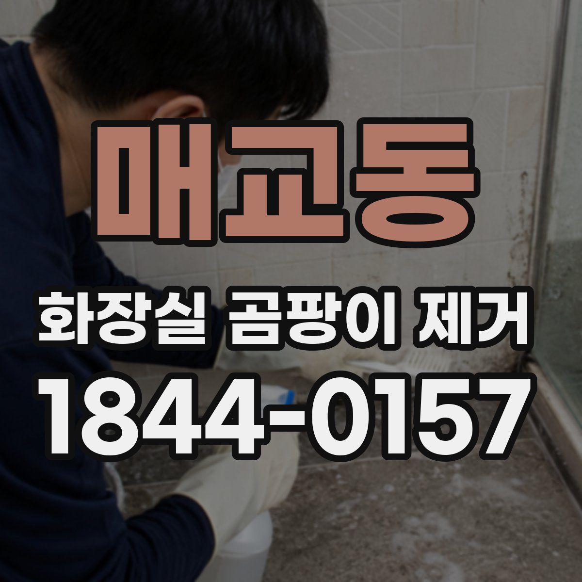 매교동 화장실 곰팡이 제거