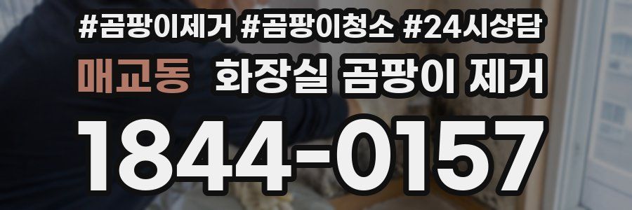 매교동 화장실 곰팡이 제거