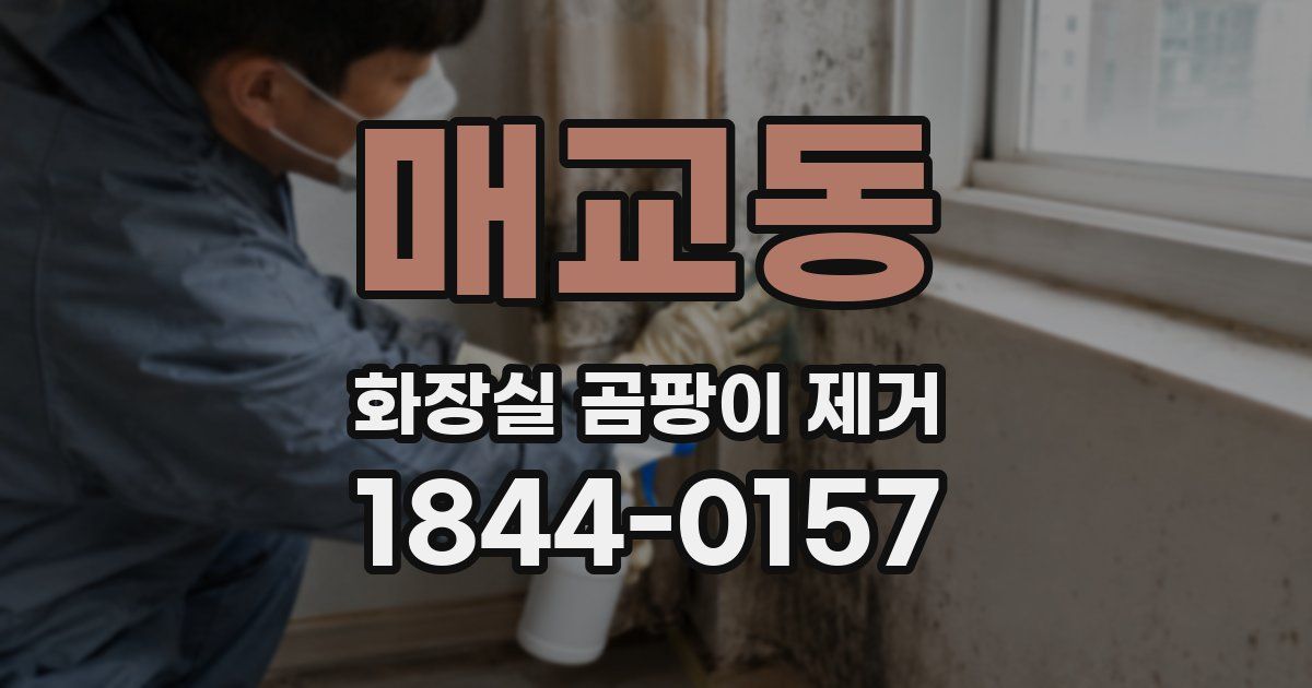 매교동 화장실 곰팡이 제거