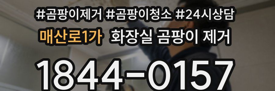 매산로1가 화장실 곰팡이 제거