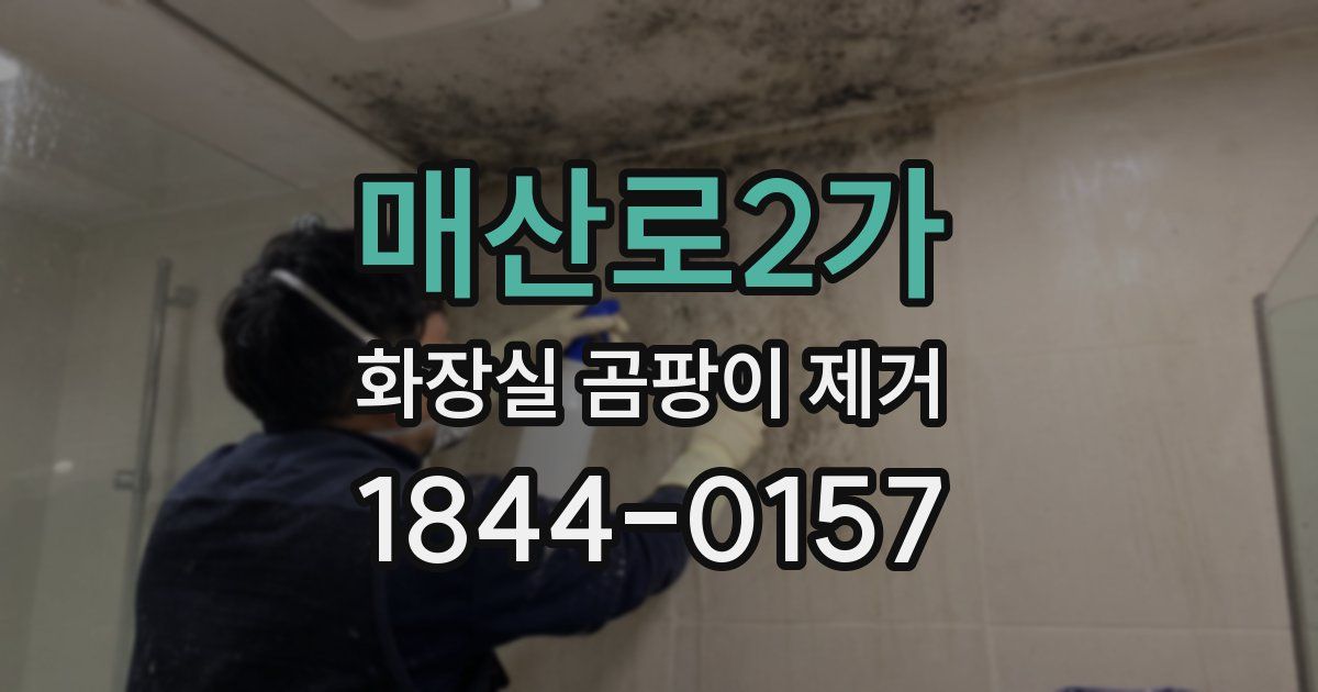 매산로2가 화장실 곰팡이 제거
