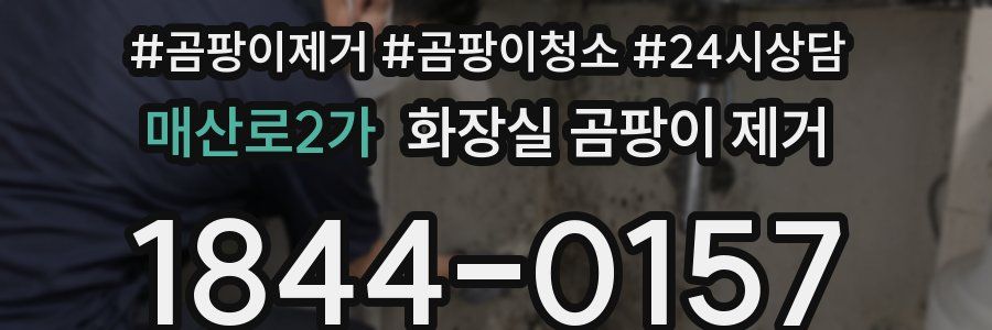 매산로2가 화장실 곰팡이 제거