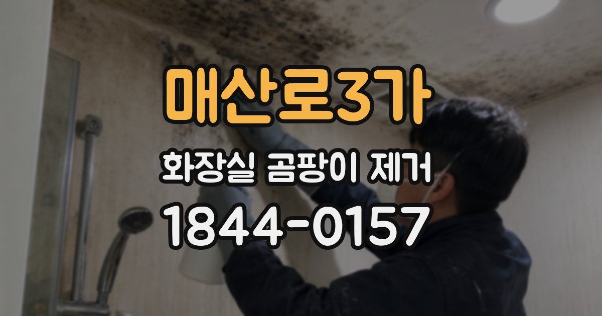 매산로3가 화장실 곰팡이 제거