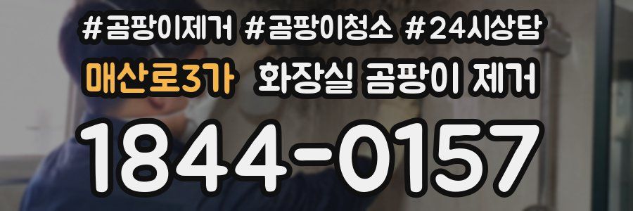 매산로3가 화장실 곰팡이 제거