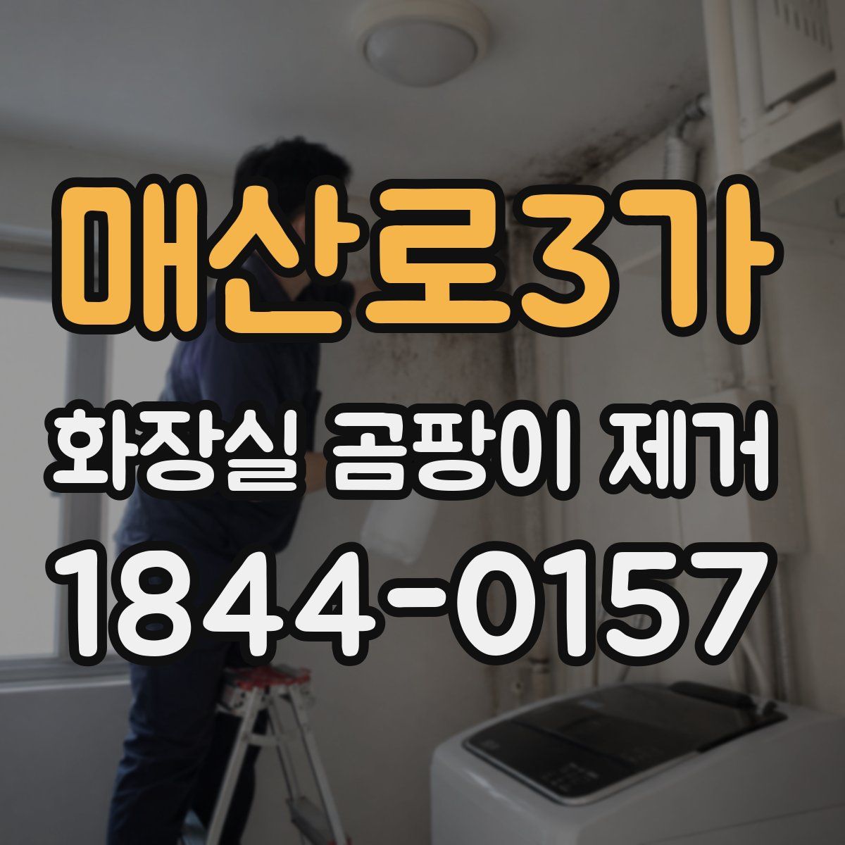 매산로3가 화장실 곰팡이 제거