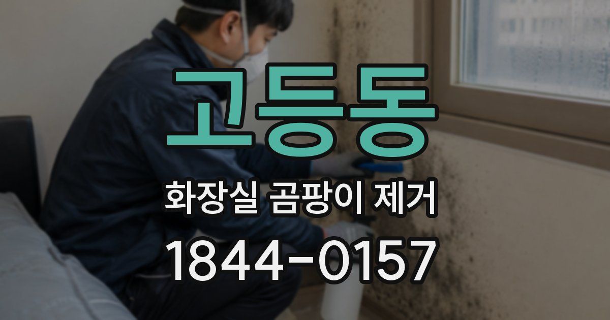 고등동 화장실 곰팡이 제거