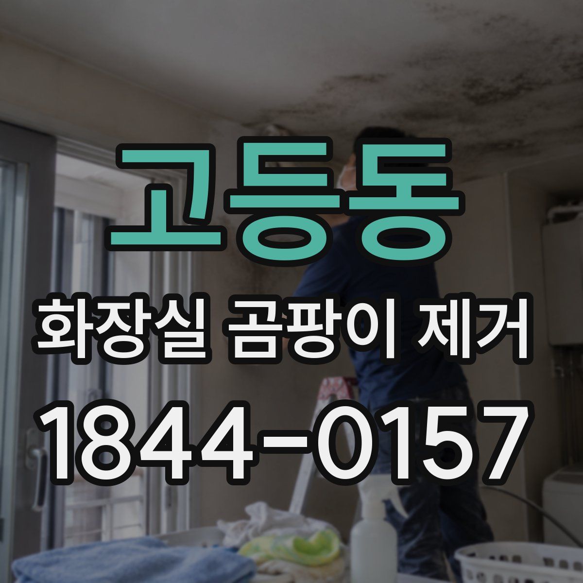고등동 화장실 곰팡이 제거