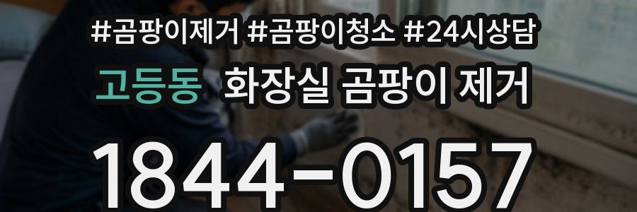 고등동 화장실 곰팡이 제거