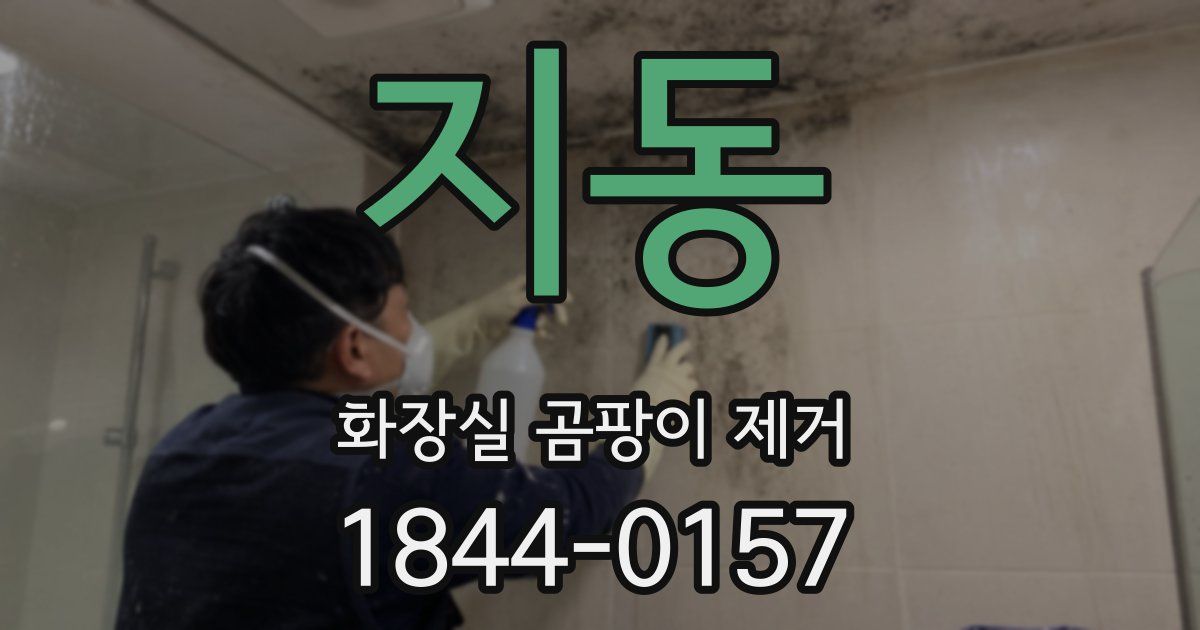 지동 화장실 곰팡이 제거