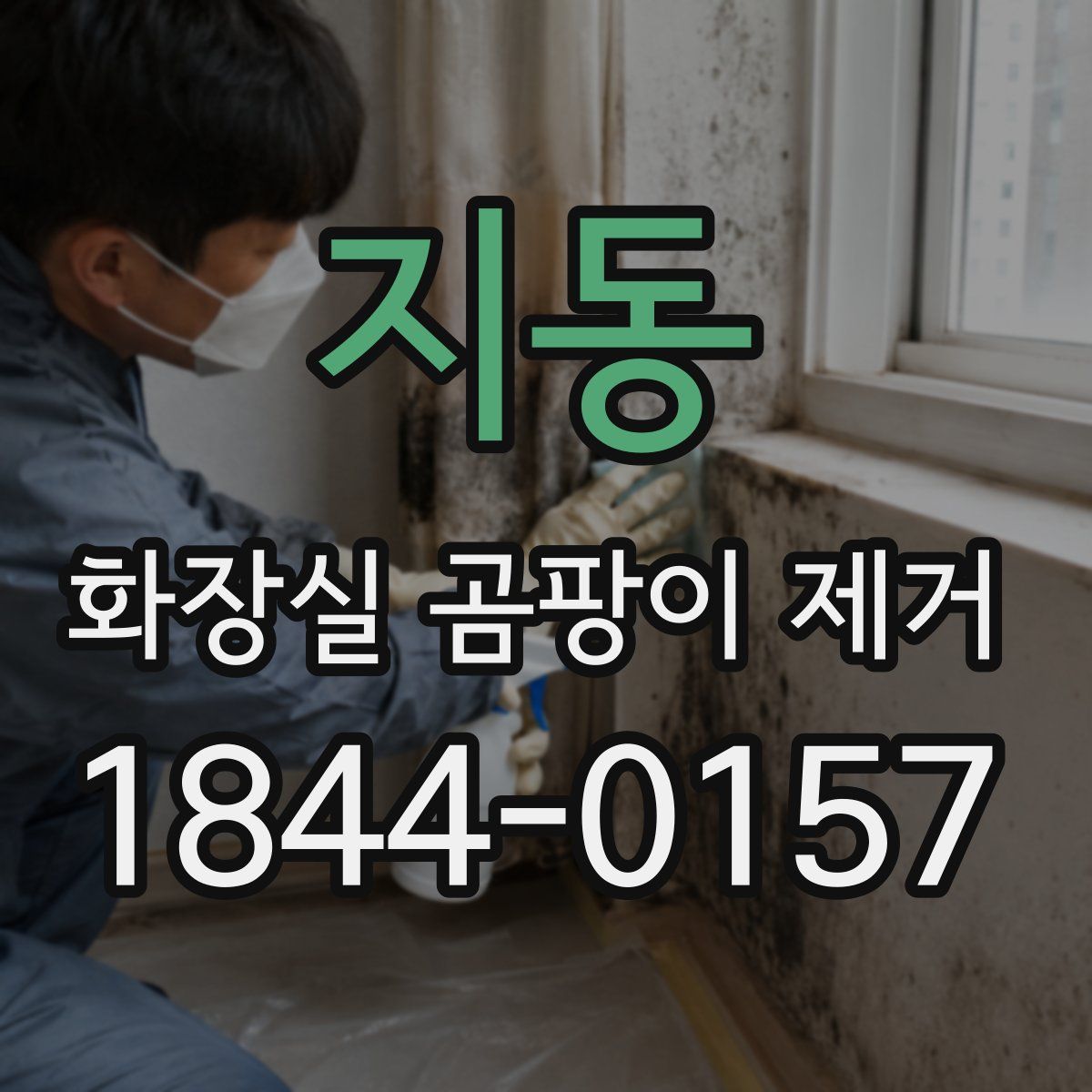지동 화장실 곰팡이 제거