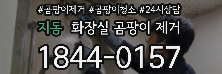 지동 화장실 곰팡이 제거