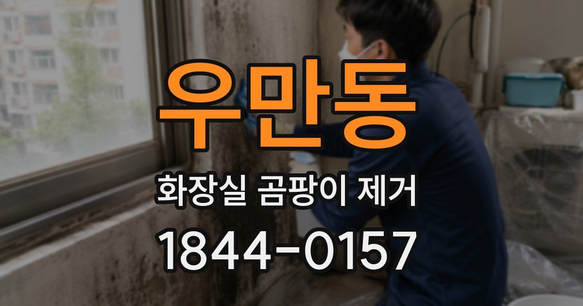 우만동 화장실 곰팡이 제거
