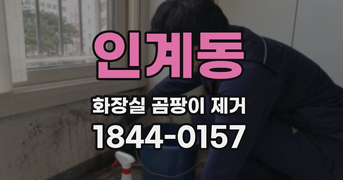 인계동 화장실 곰팡이 제거