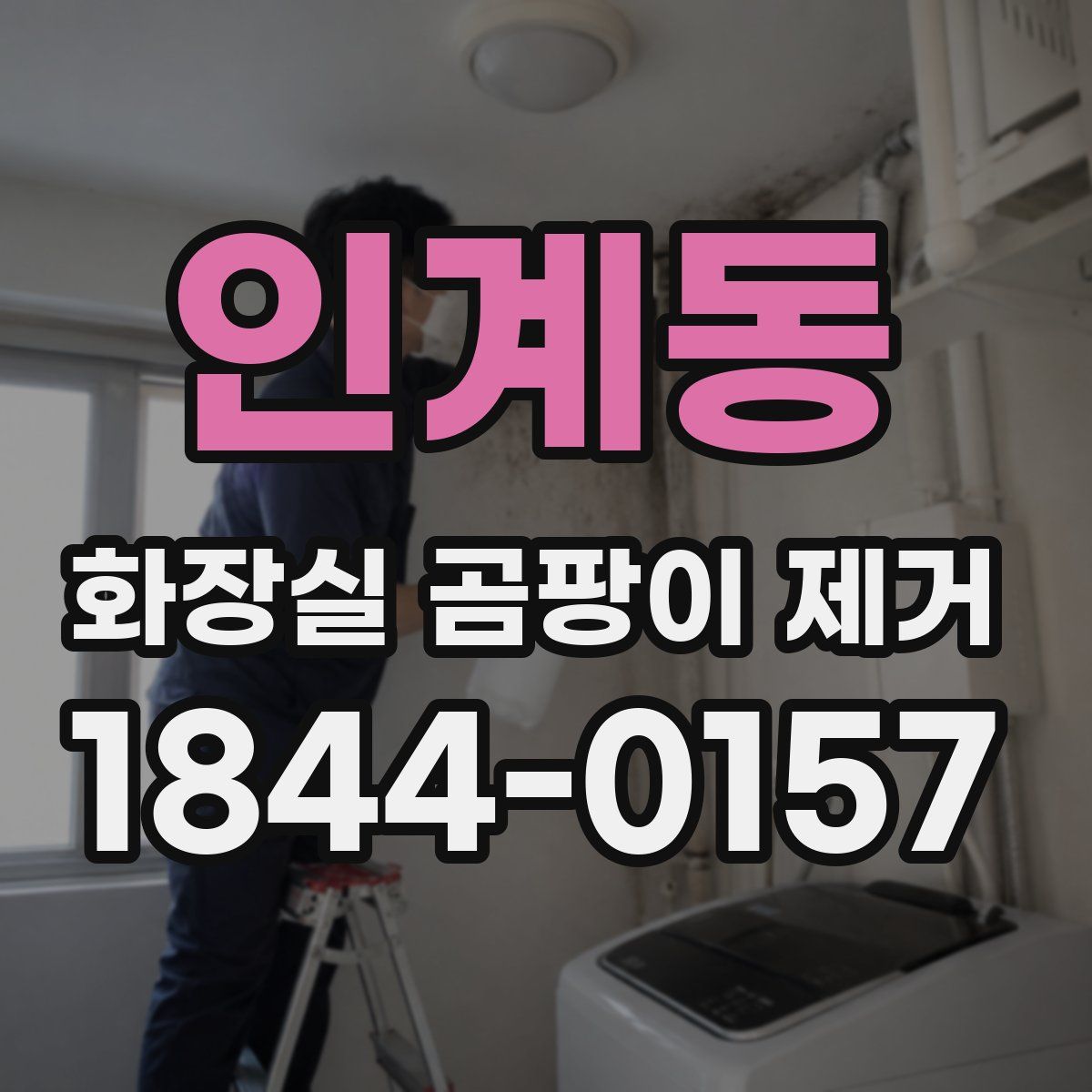 인계동 화장실 곰팡이 제거