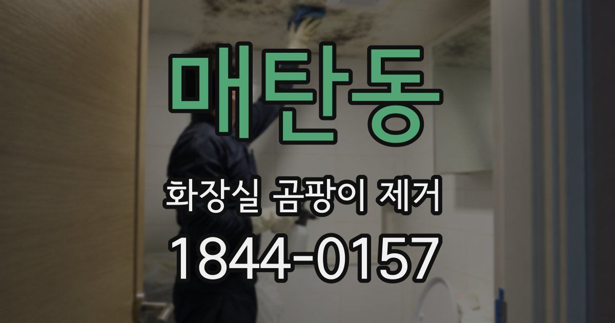 매탄동 화장실 곰팡이 제거