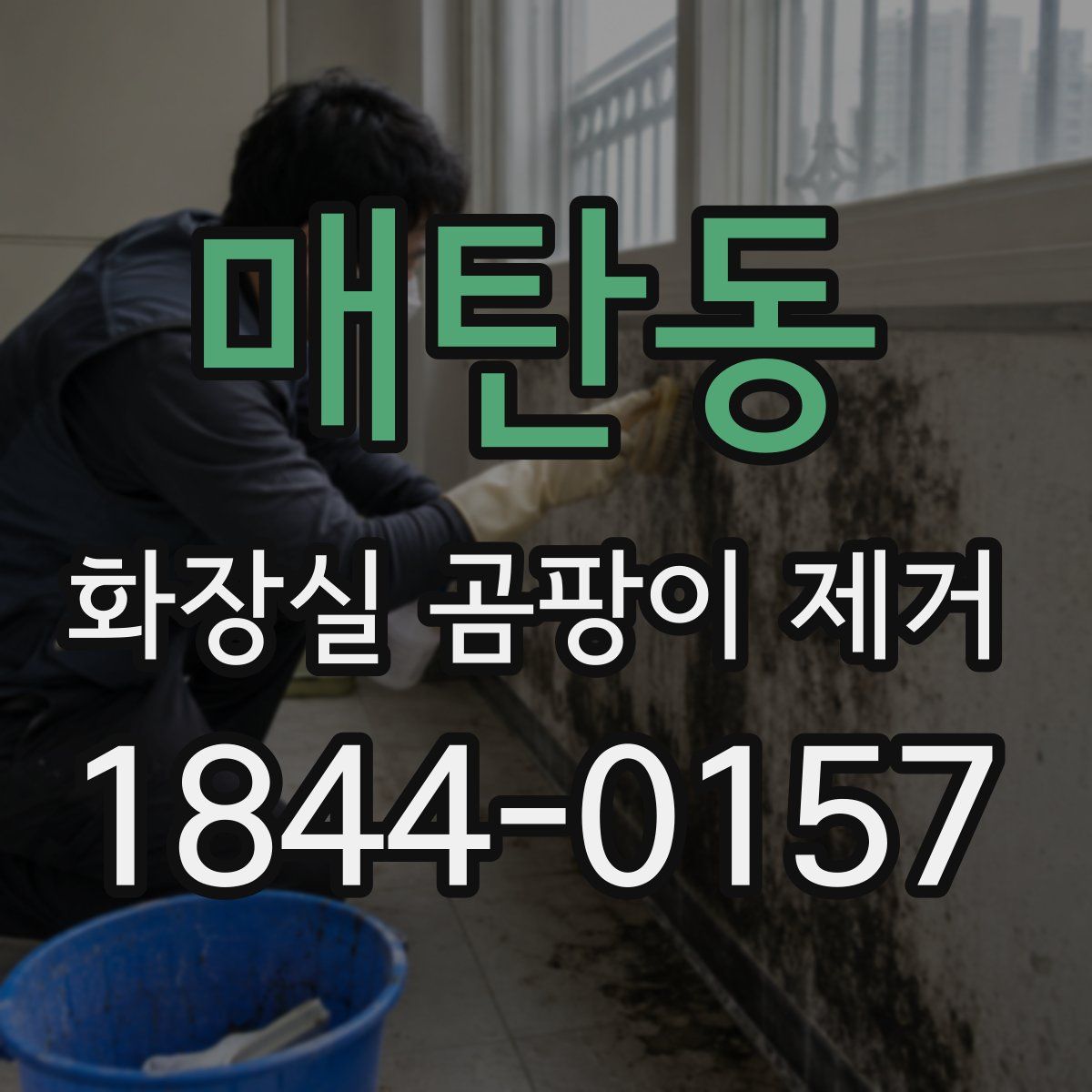 매탄동 화장실 곰팡이 제거