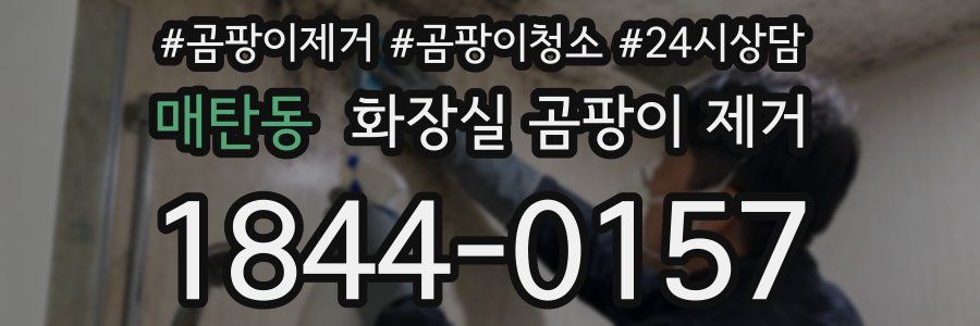 매탄동 화장실 곰팡이 제거