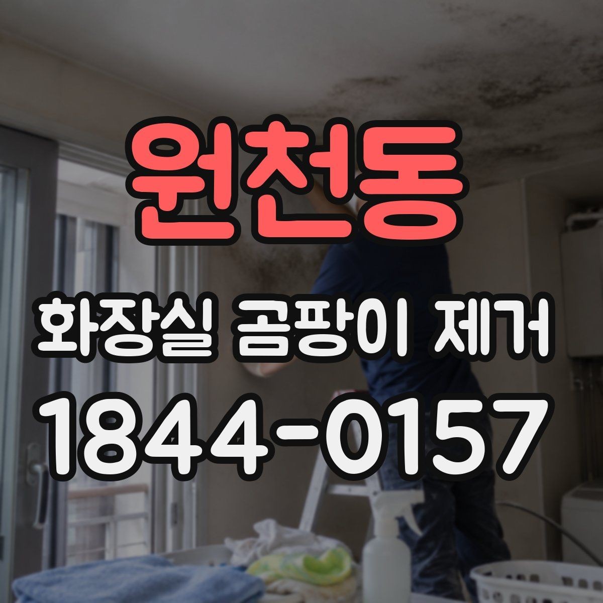 원천동 화장실 곰팡이 제거 임대주택 원상복구 전 꼭 챙길 관리