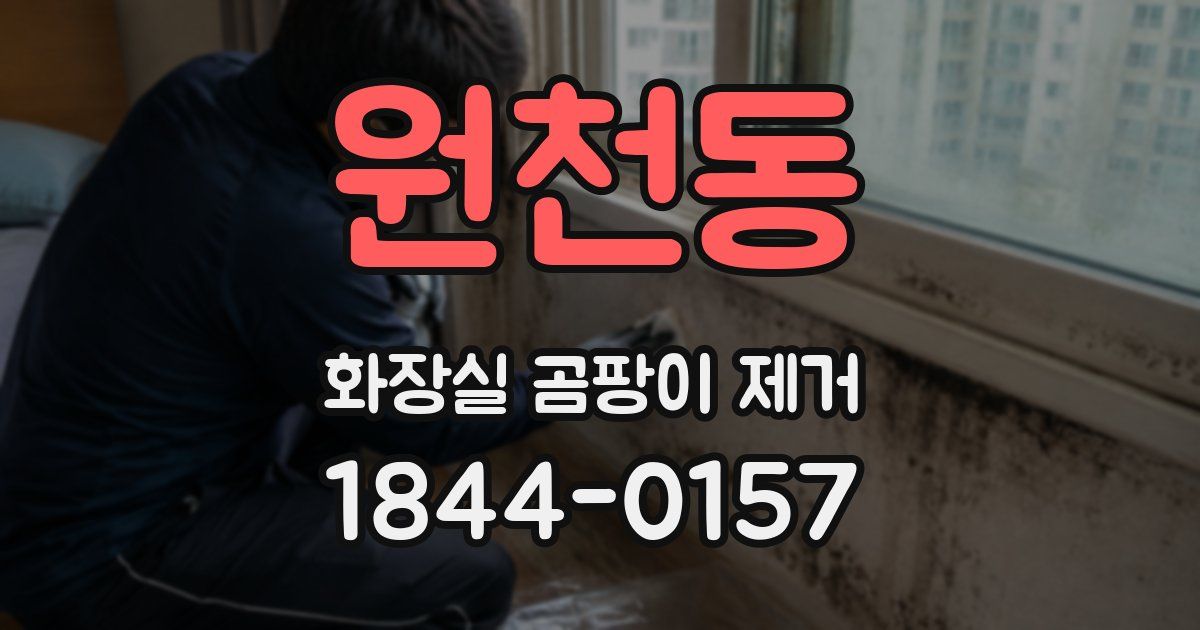 원천동 화장실 곰팡이 제거