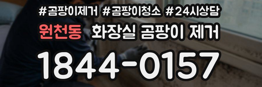 원천동 화장실 곰팡이 제거