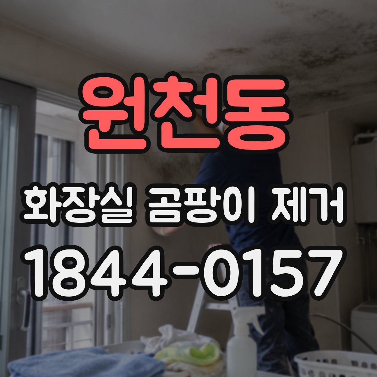 원천동 화장실 곰팡이 제거