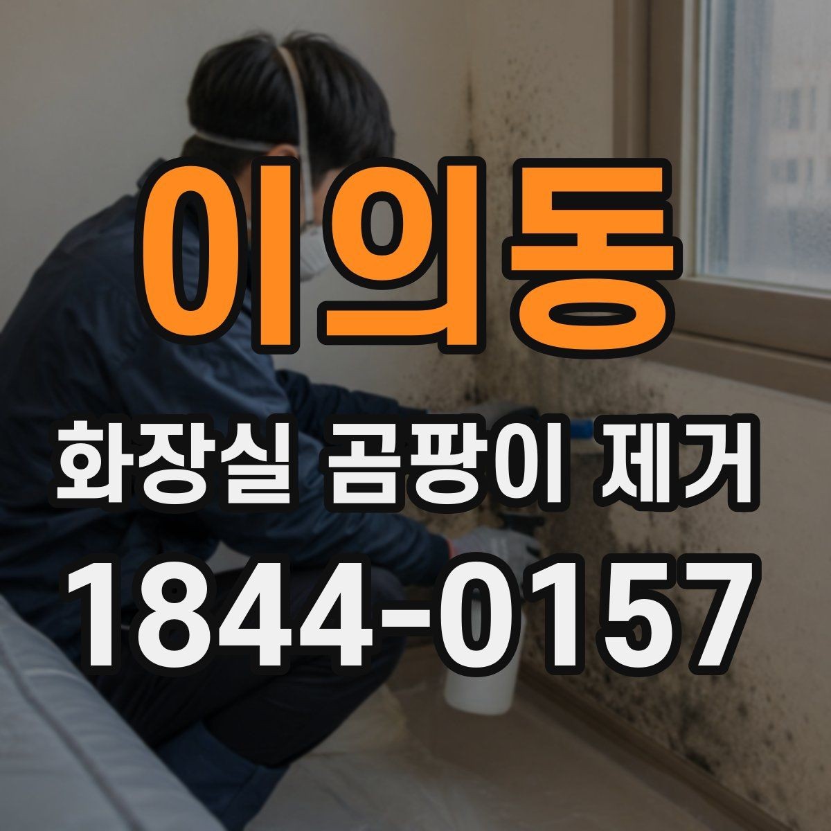 이의동 화장실 곰팡이 제거 브러시와 스펀지 사용 차이 알아보기