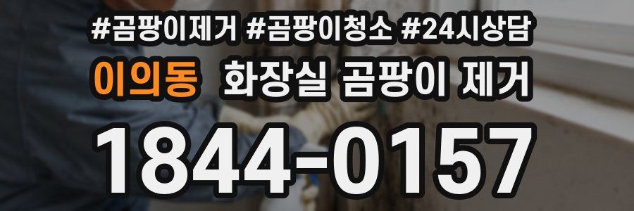 이의동 화장실 곰팡이 제거