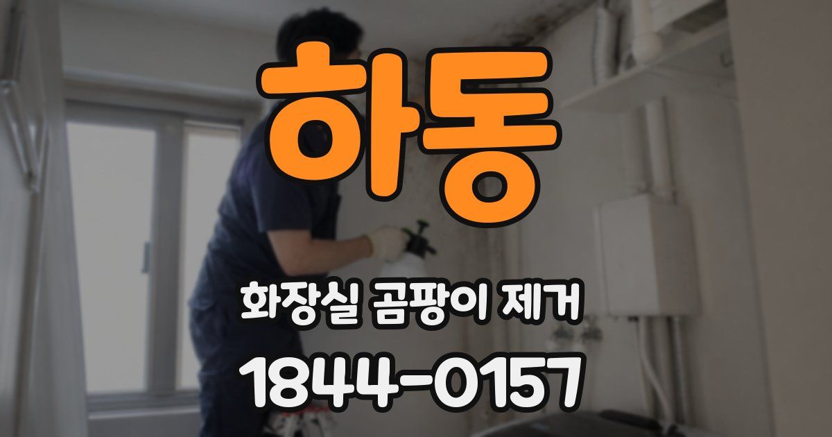 하동 화장실 곰팡이 제거