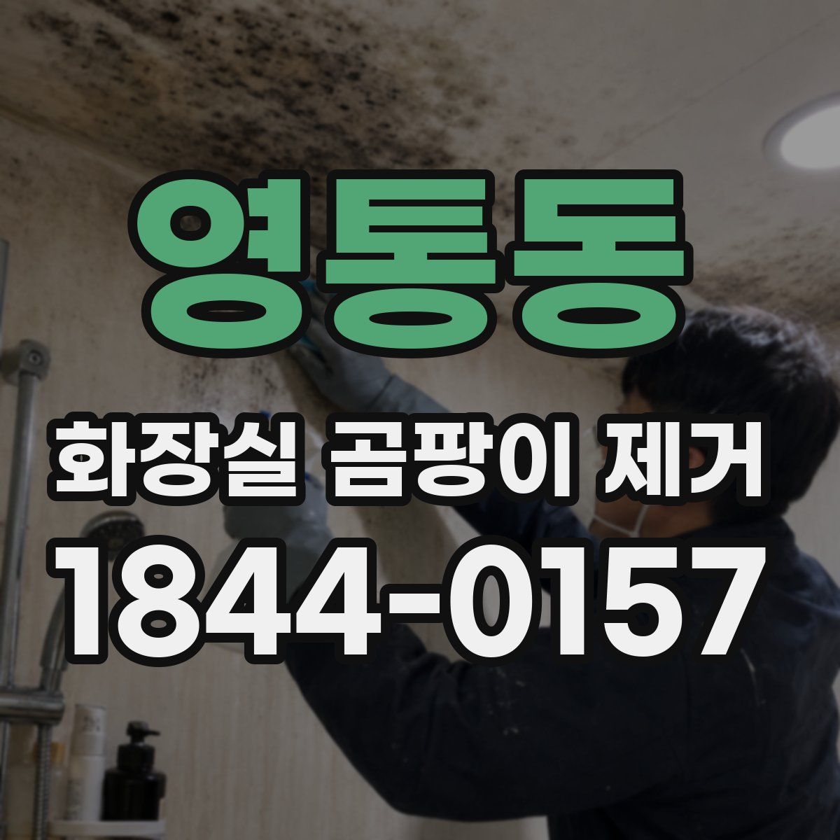 영통동 화장실 곰팡이 제거