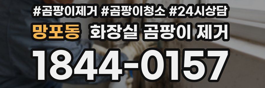 망포동 화장실 곰팡이 제거