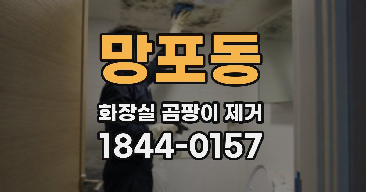 망포동 화장실 곰팡이 제거