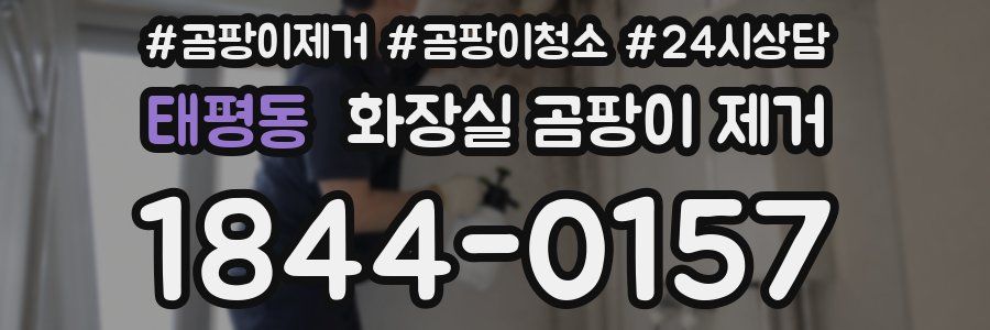 태평동 화장실 곰팡이 제거