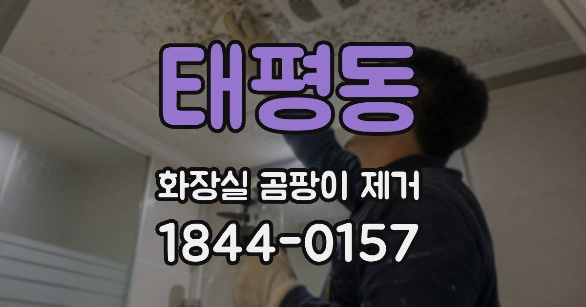 태평동 화장실 곰팡이 제거