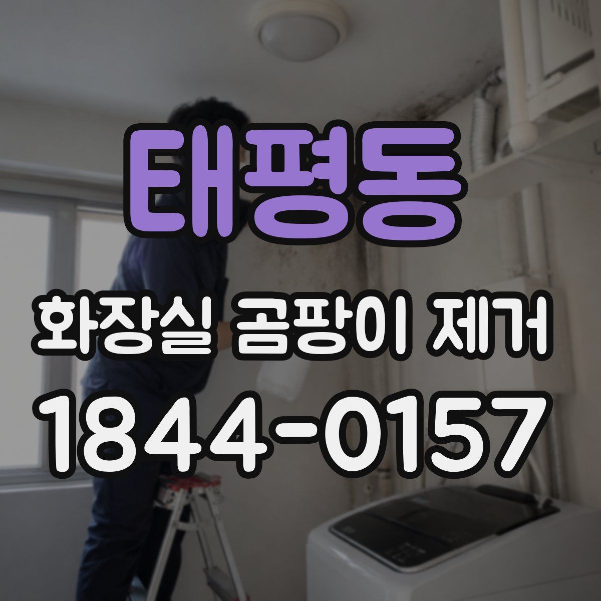태평동 화장실 곰팡이 제거