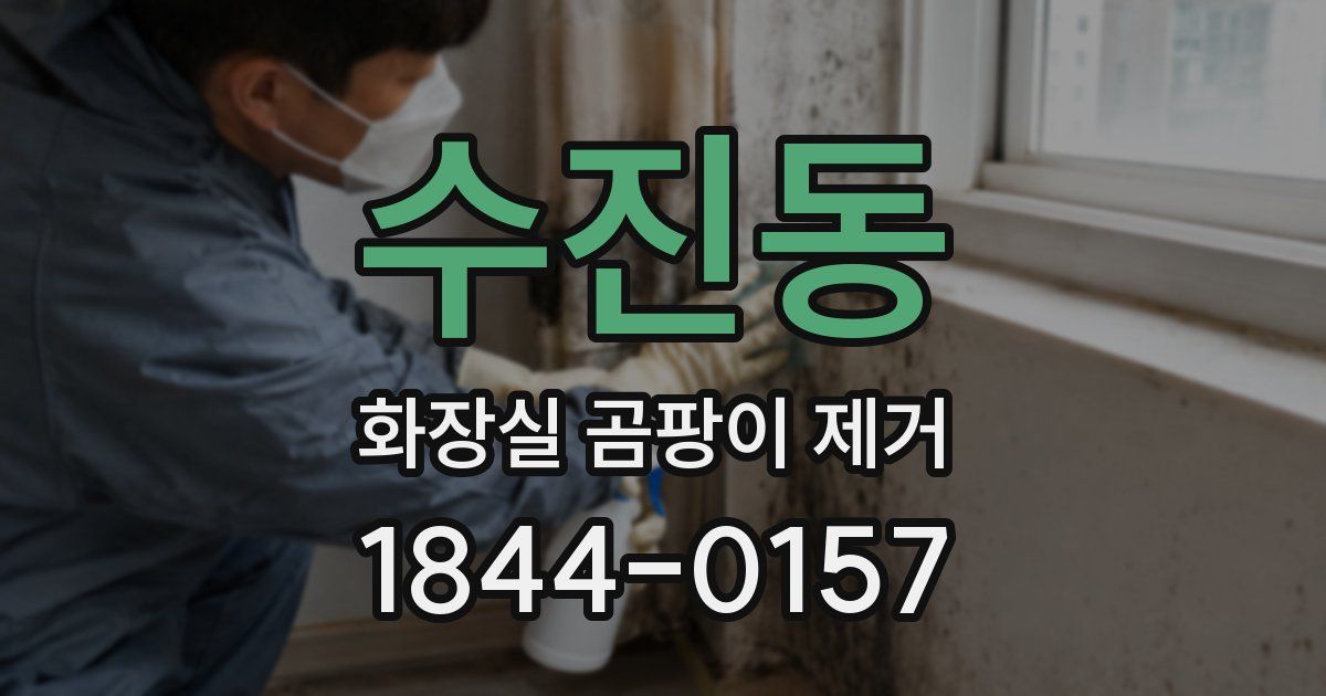 수진동 화장실 곰팡이 제거