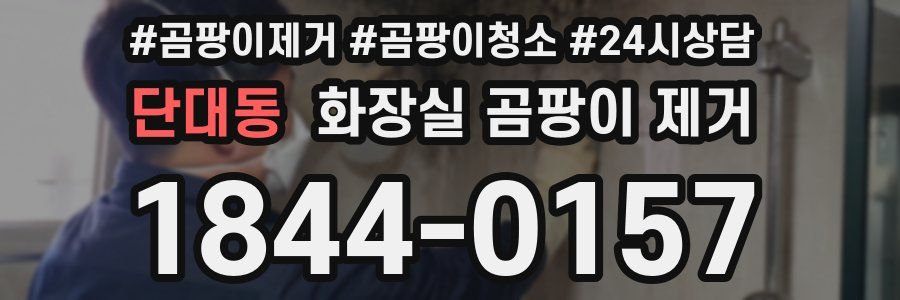 단대동 화장실 곰팡이 제거