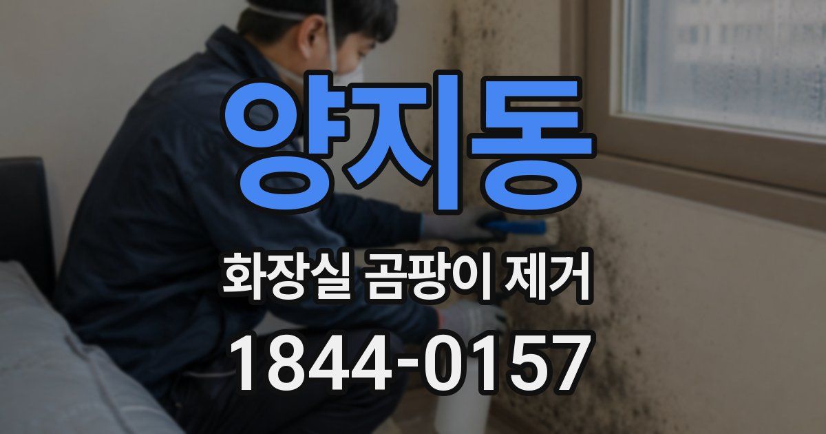 양지동 화장실 곰팡이 제거