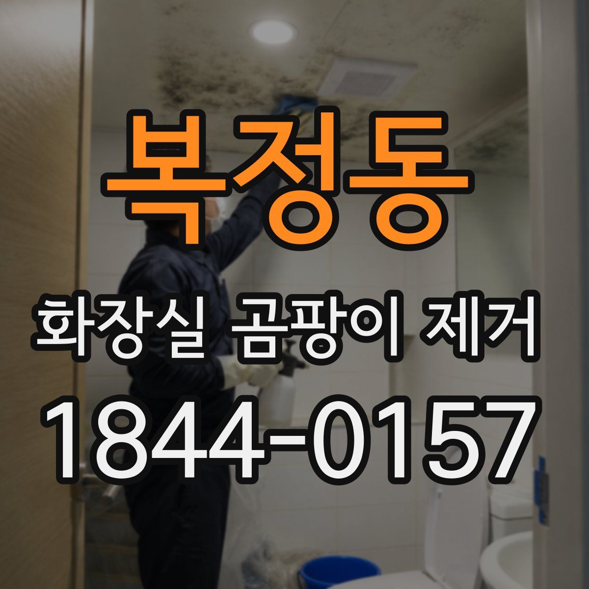 복정동 화장실 곰팡이 제거