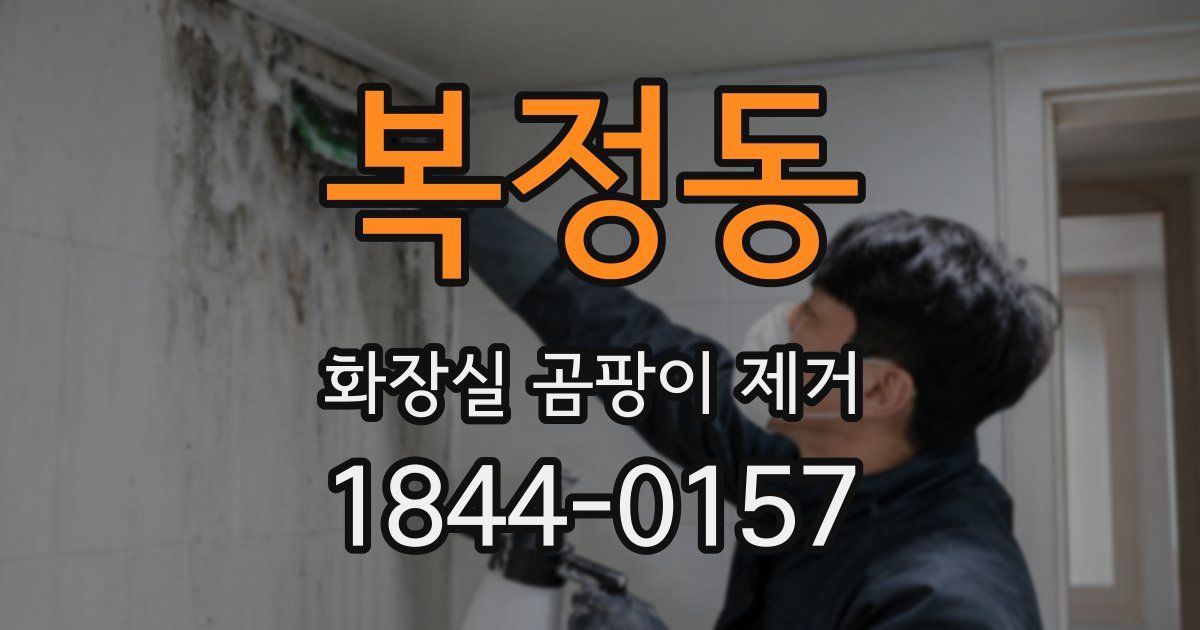 복정동 화장실 곰팡이 제거