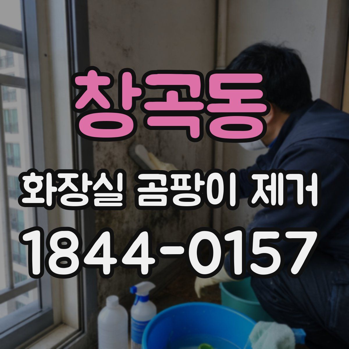 창곡동 화장실 곰팡이 제거