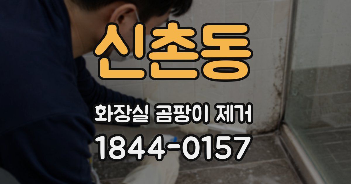 신촌동 화장실 곰팡이 제거