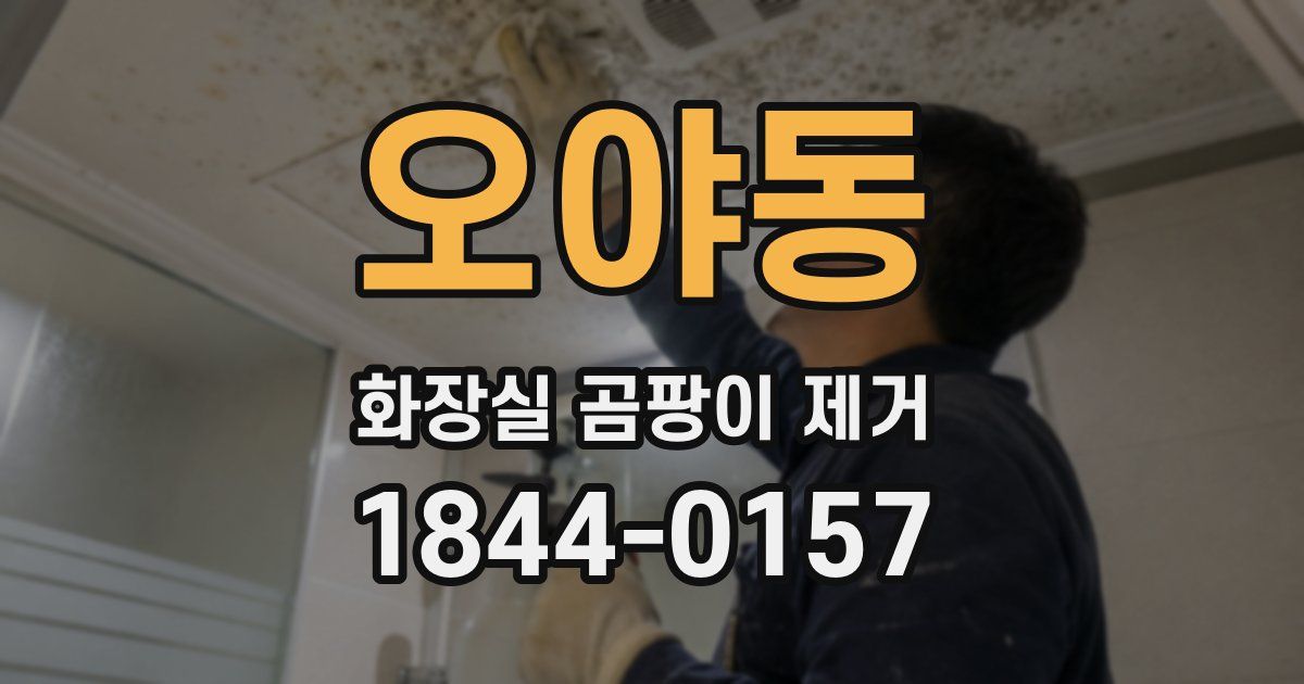 오야동 화장실 곰팡이 제거