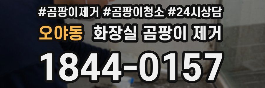 오야동 화장실 곰팡이 제거